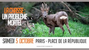 chasse-paysage2019V