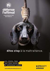 Affiche-A4-JPEGchien