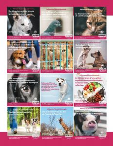Brochure Défense de l'Animal - Elections Municipales 2020_page-0010