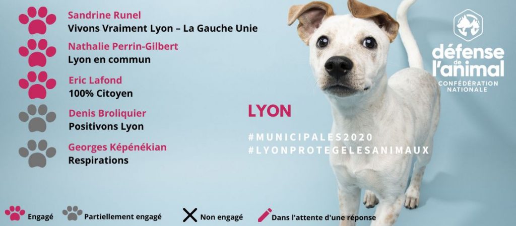 bilan candidats LYON