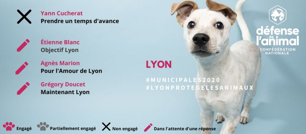 bilan candidats LYON 2