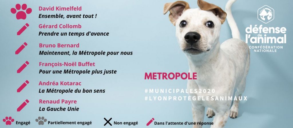 bilan candidats METROPOLE