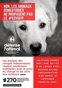 Copie de Non, Les animaux domestiques ne propagent pas le #COVID19(3)