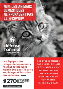 Copie de Non, Les animaux domestiques ne propagent pas le #COVID19(4)