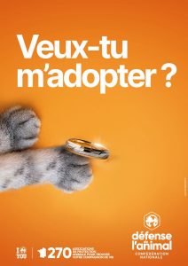 Affiche A3 adoptionCHAT