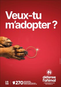 Affiche A3 adoptionCHIEN