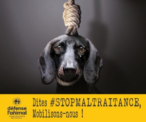 Luttons contre la maltraitance10