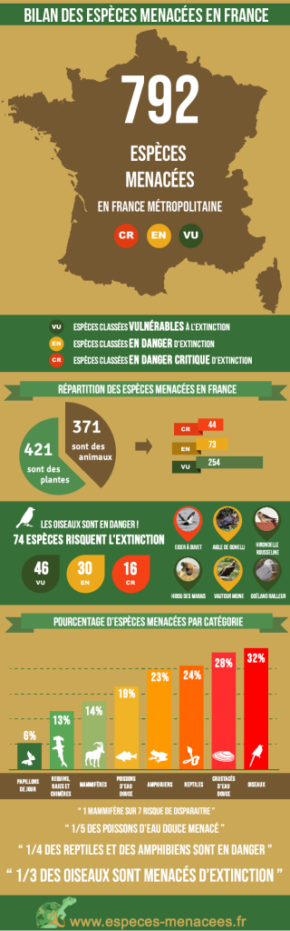 Infographie sur la biodiversité