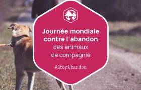 Journée mondiale contre l'abandon des animaux de compagnie