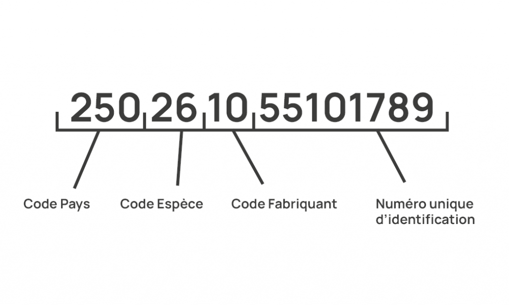 La composition du chiffre d'identification d'un animal 