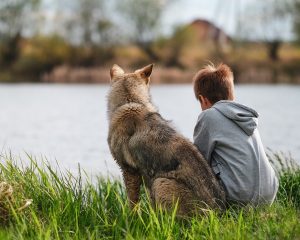 chien-humain-domestication