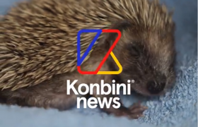 Reportage réalisé par Konbini, sur le centre de soins à la faune sauvage de l'Hirondelle, membre de Défense de l'Animal.