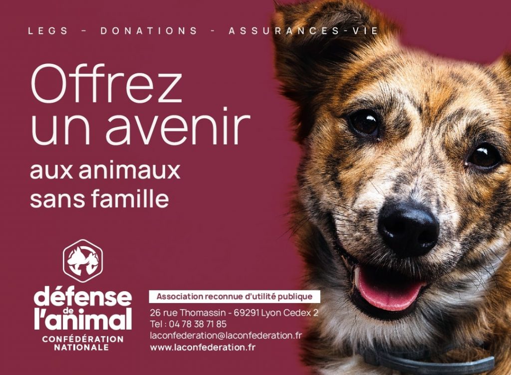 Faire un legs à Défense de l'Animal, c'est aider nos 270 associations membres. 