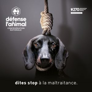 Vous aussi, dites stop à la maltraitance.