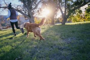 N'hésitez pas a extérioriser vos émotions lors de la perte de votre animal.