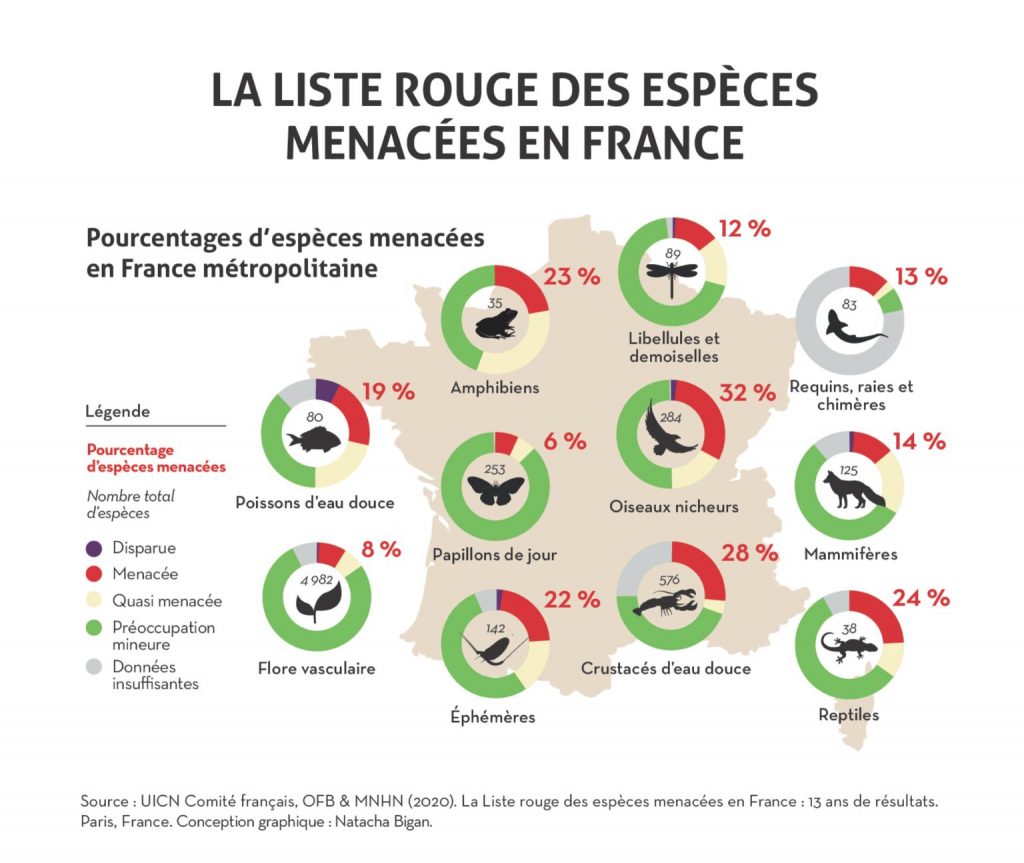 UICN-Infographie