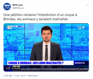 Une pétition pour libérer les lions du cirque dans la ville de Brindas (69).