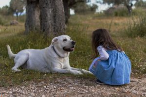 chien-petite-fille