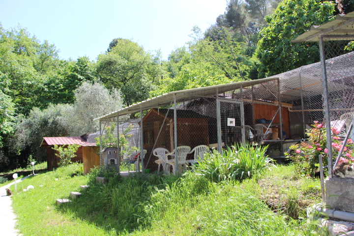 Refuge de l'association Les chats de Stella. 