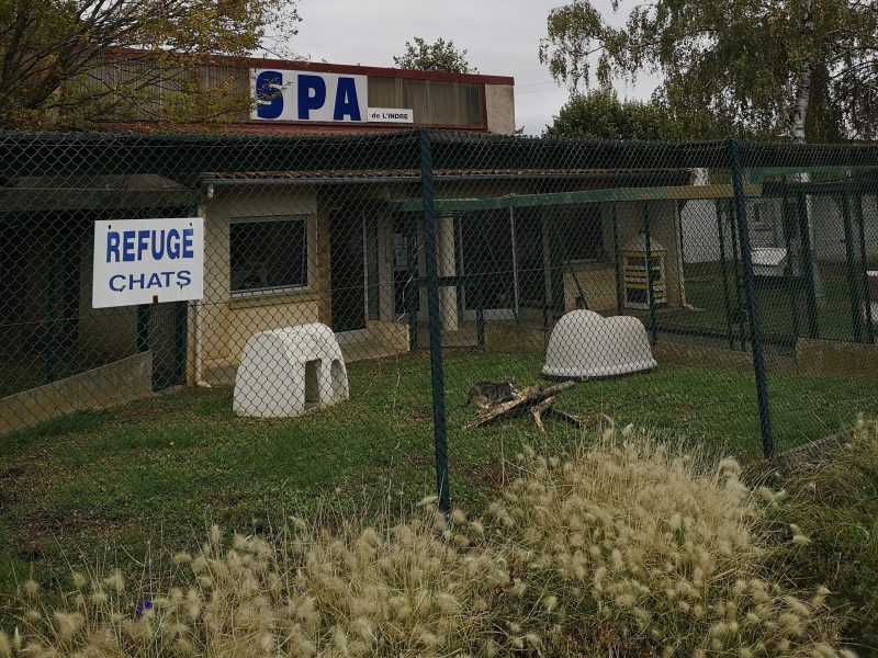 Photo de la chatterie de la SPA de l'Indre