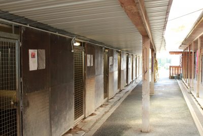 Allée des chiens du refuge de la SPA du Chablais