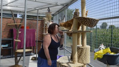 Chatterie du refuge de l'APA du Puy de Dôme