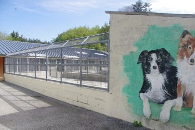 Refuge de la SPA de Pontivy.