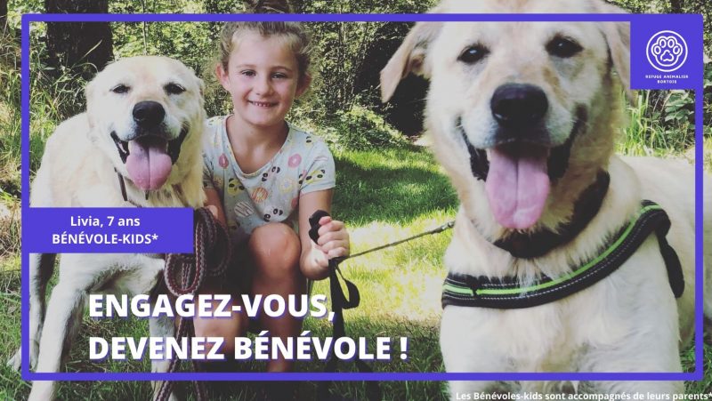 Devenez bénévole au Refuge Animalier Bortois ! 