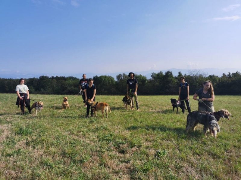 Promenade des chiens recueillis au Refuge des Bérauds