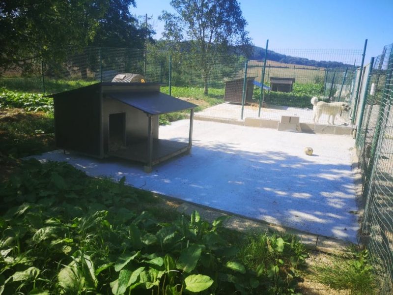 Parc à chiens du refuge de la SLPA