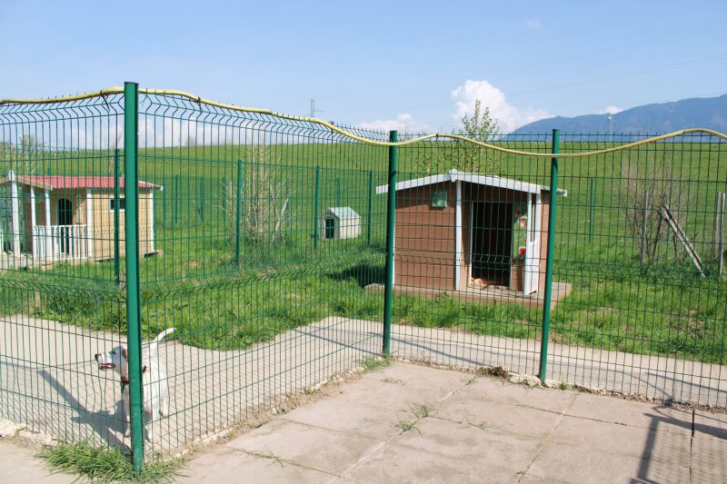 Parc à chiens de la SPA du Chablais