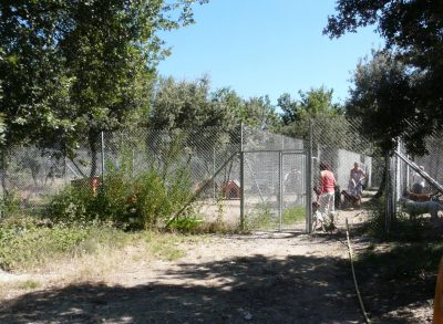 Parc extérieur de la SPA de l'Enclave des Papes