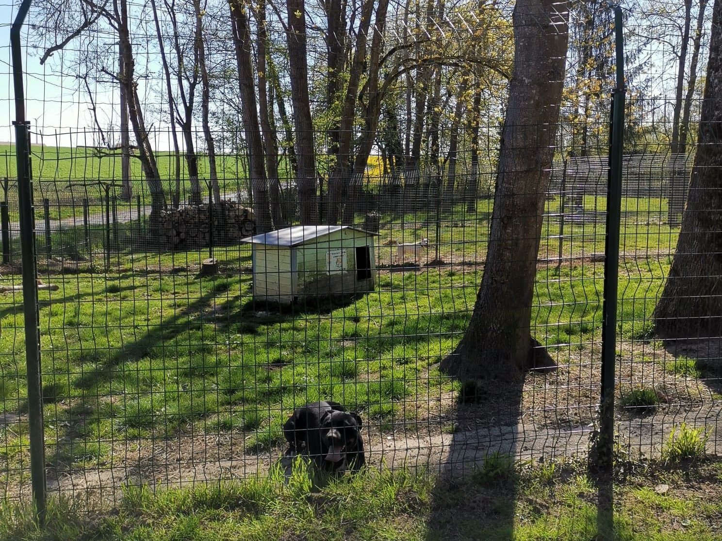 Parc à chiens du refuge de l'ADAO