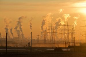 Notre terre est aujourd'hui en danger à cause des activités humaines notamment. 