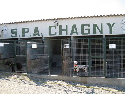 Chenil de la SPA de la région de Chagny