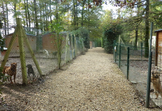 Chenils du refuge du Bois Marsolleau de l'ASPA Saumur