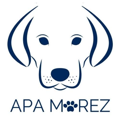 Logo de l'APA Morez