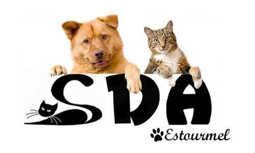 Logo de la SDA d'Estourmel