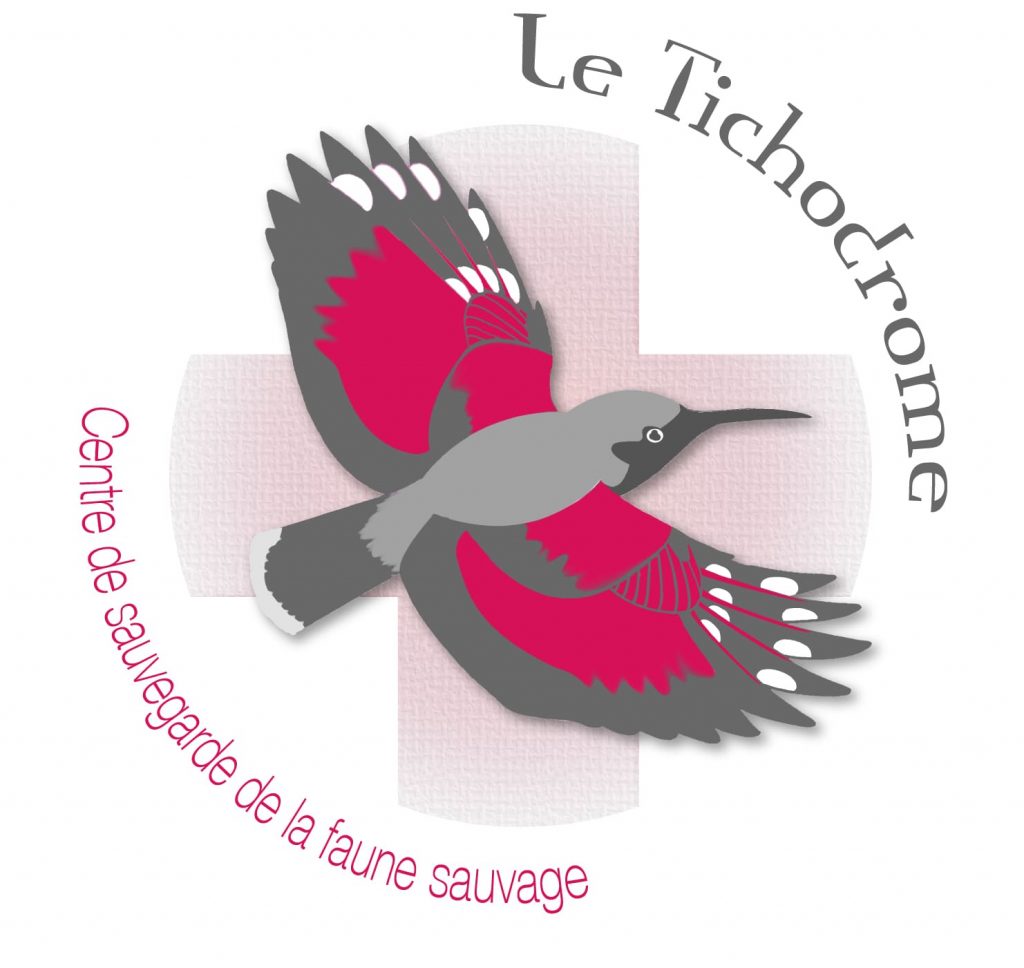 Logo du Tichodrome, centre de sauvegarde de la faune sauvage, membre de Défense de l'Animal