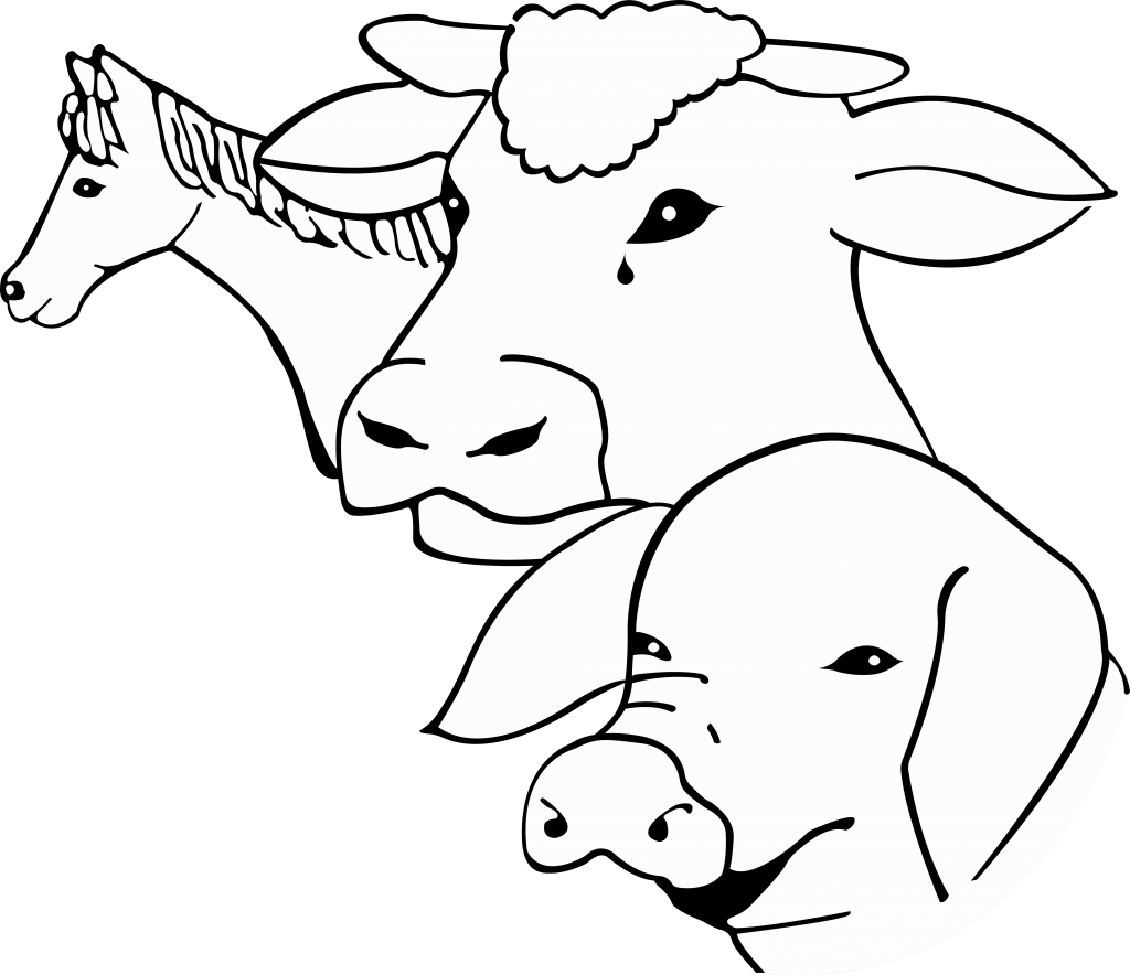 Logo de la ferme des animaux sauvés de la mort.