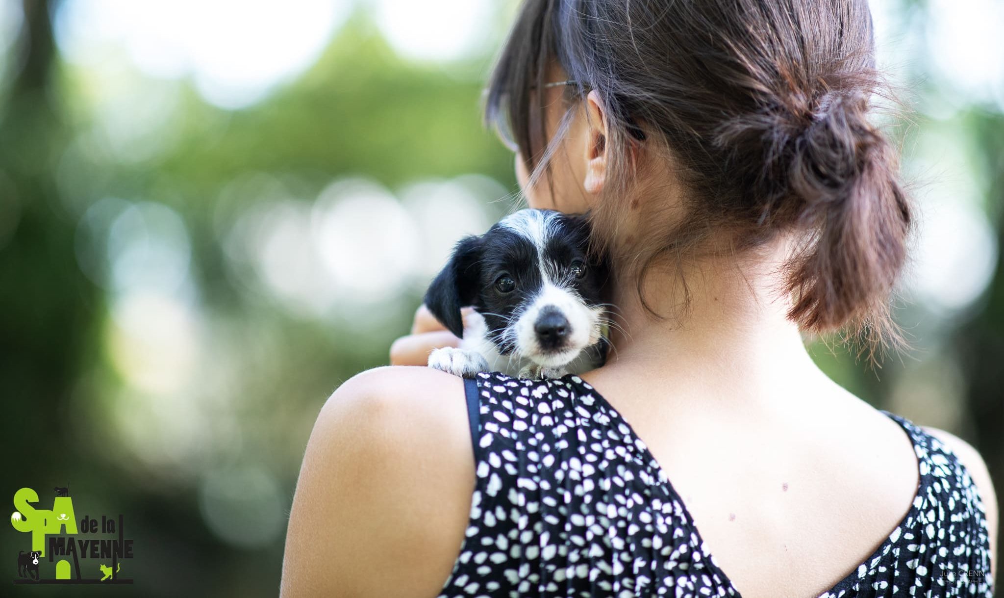 Chiot recueilli et à l'adoption à la SPA de la Mayenne