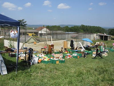 Vide-greniers 2019 de la SPA de la région de Chagny