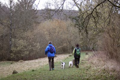 Balade pour chiens à l'association Les Amis des Bêtes