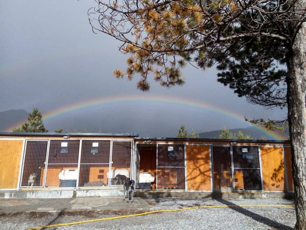 Arc-en-ciel au dessus du chenil de l'association AUDACCE. 