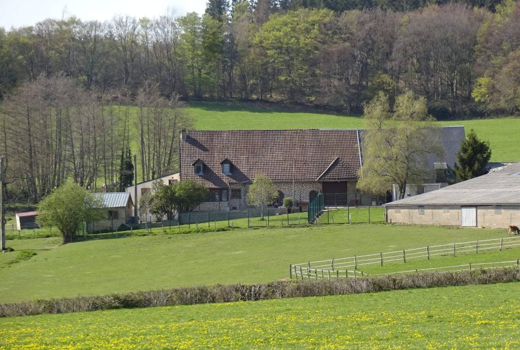 Refuge Coeur à 4 pattes