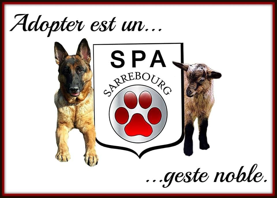 SPA de Sarrebourg