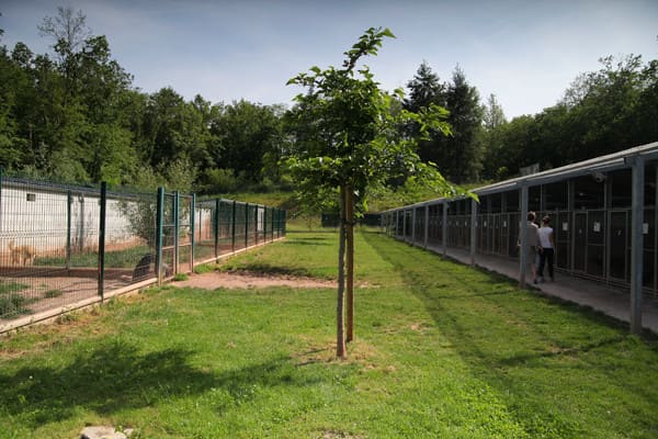 Refuge de la SPA de Brive