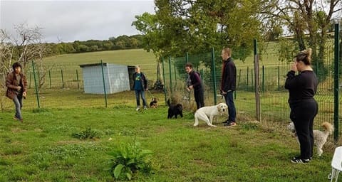 Cours d'éducation proposé au refuge Saint Jean