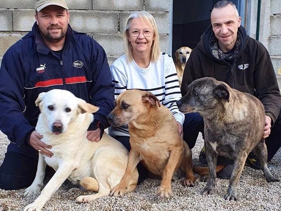 Équipe de l'association de Brigade de Défense Animale