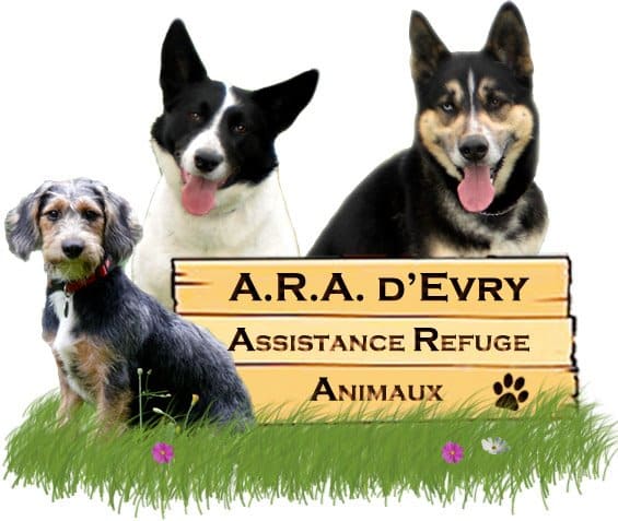 Logo de l'association A.R.A Evry - Assistance Refuge Animaux